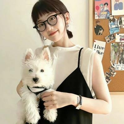 加菲猫:农场大冒险
